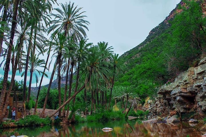 Full-Day Paradise Valley and Tamri Dunes Tour from Agadir photo 4