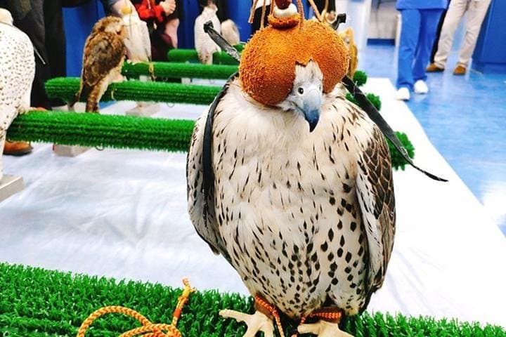 Abu Dhabi in One Day: Private Highlights Tour with Falcon Hospital & Grand Mosque photo 1