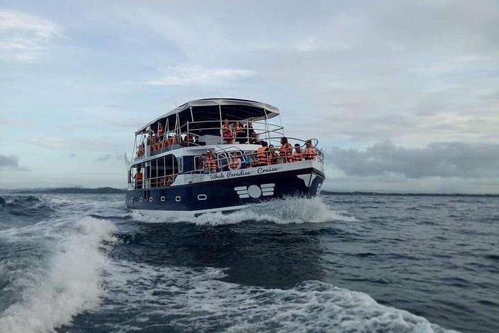 Mirissa Whale Watching: Blue Whales, Dolphins & Ocean Safaris off Sri Lanka
