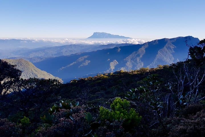 Mount Trusmadi 3-Day Summit Trek: Remote Sabah Jungle to Alpine Ridge