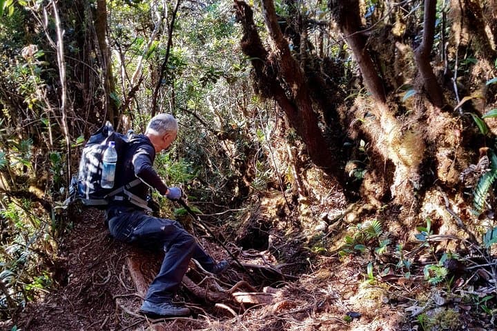 Mount Trusmadi 3-Day Summit Trek: Remote Sabah Jungle to Alpine Ridge photo 2