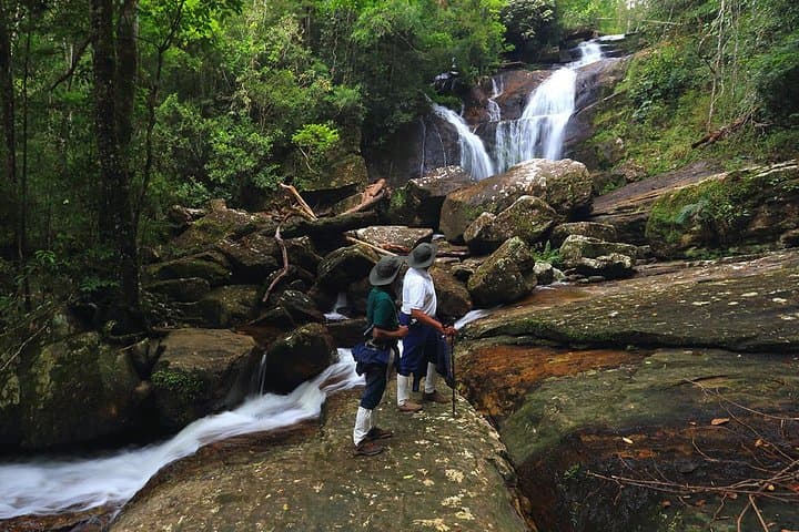 Rain Forest Trekking in Kitulgala Forest Reserve — Day Trek & River Crossing from Kandy photo 2