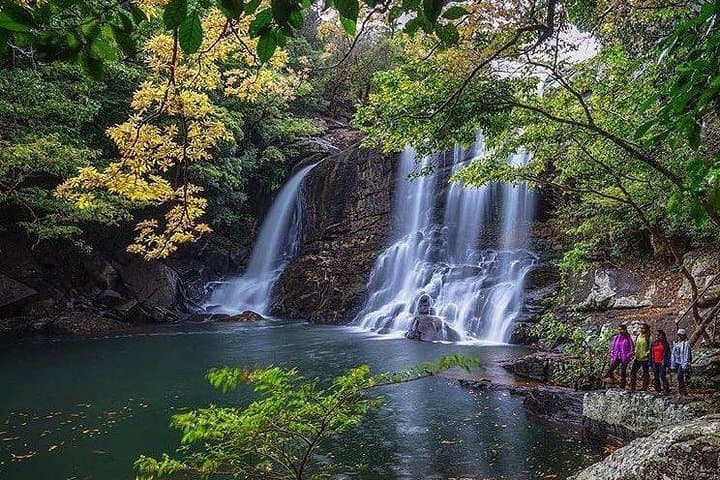 Rain Forest Trekking in Kitulgala Forest Reserve — Day Trek & River Crossing from Kandy photo 3