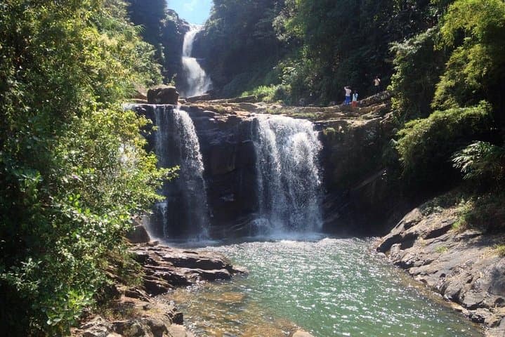 Rain Forest Trekking in Kitulgala Forest Reserve — Day Trek & River Crossing from Kandy photo 6
