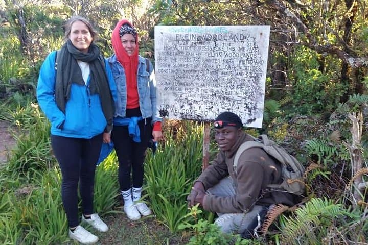 Blue Mountains Peak Hike: Sunrise Trek to Jamaica's Highest Vistas photo 2