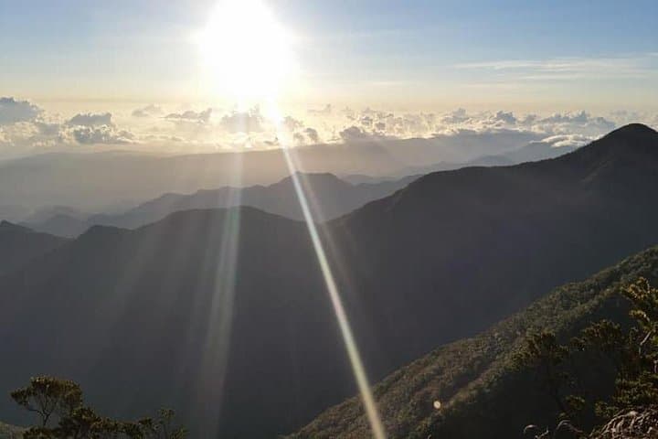 Blue Mountains Peak Hike: Sunrise Trek to Jamaica's Highest Vistas photo 3