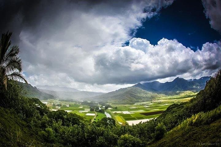 Private Luxury Grand Circle Tour of Oahu: North Shore Beaches, Coffee Farms & Iconic Lookouts photo 3