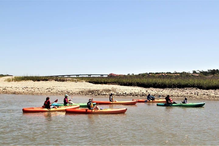 Hilton Head Morning Kayak Eco Tour — Broad Creek Wildlife & Dolphin Paddle photo 3