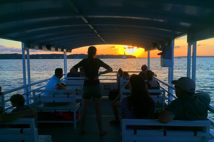 Hilton Head Dolphin Watching Cruise with Sunset Fireworks photo 5