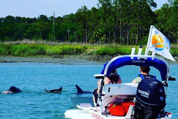 Hilton Head Creek Cat Tour: 2-Hour Guided Water Adventure photo 4
