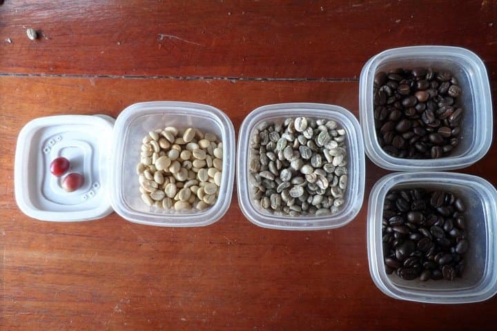 Monteverde Cloud Forest Coffee Farm Tour: Organic Coffee, Monkeys & Quaker History photo 4