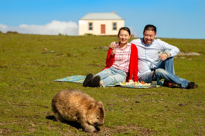 Wineglass Bay & Maria Island Scenic Flight from Hobart — Wildlife Landing & Tasmanian Seafood Picnic