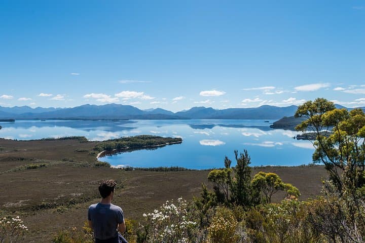 Southwest Tasmania Wilderness Experience — Scenic Flights, Bathurst Harbour Cruise & Bush Walk photo 3