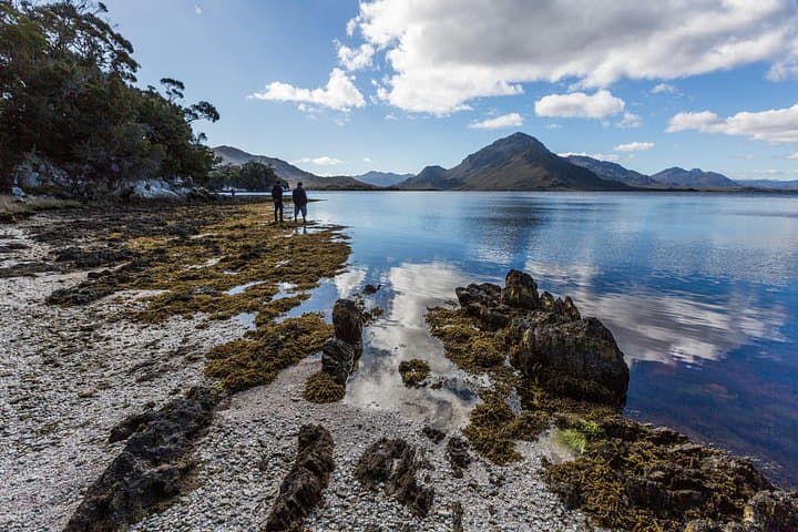 Southwest Tasmania Wilderness Experience — Scenic Flights, Bathurst Harbour Cruise & Bush Walk photo 6