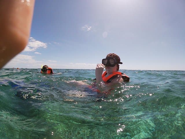 Puerto Morelos Reef Snorkel: National Park Tour with Lunch & Transport photo 3