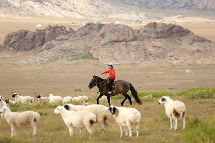 Ulaanbaatar Photography Tour: Daytime & Night Shoots to Terelj photo 3