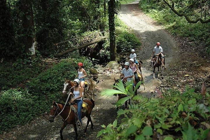 Canopy Zipline and Horseback to a Rainforest Waterfall near Jacó photo 5