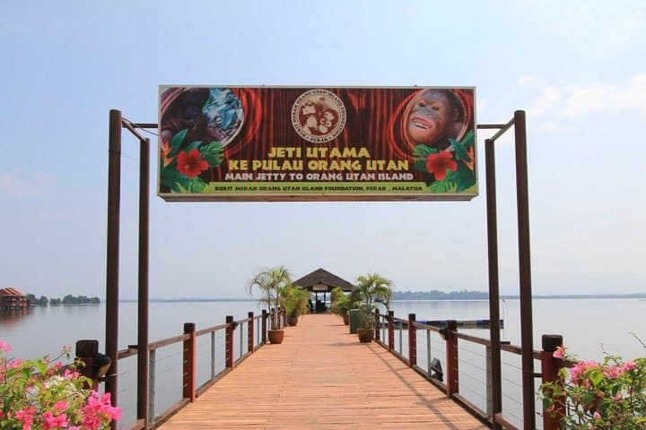 Orangutan Island & Perak Tong Cave: Day Trip From Kuala Lumpur photo 3