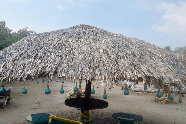 Cartagena Mangrove Tour: Canoe Through La Boquilla's Afro-Caribbean Fishing Village photo 6
