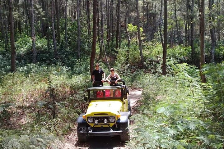 Mount Batur Sunrise Jeep Tour: 4WD Sunrise Experience in Kintamani, Bali photo 3