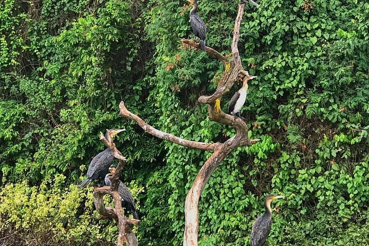 Meru Waterfalls, Forest Walk & Canoeing on Lake Duluti — Day Tour from Arusha photo 3