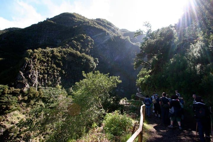 Rabaçal Levada das 25 Fontes Hike — Waterfalls, Lagoons & Madeira Laurisilva photo 2