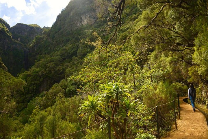 Rabaçal Levada das 25 Fontes Hike — Waterfalls, Lagoons & Madeira Laurisilva photo 4