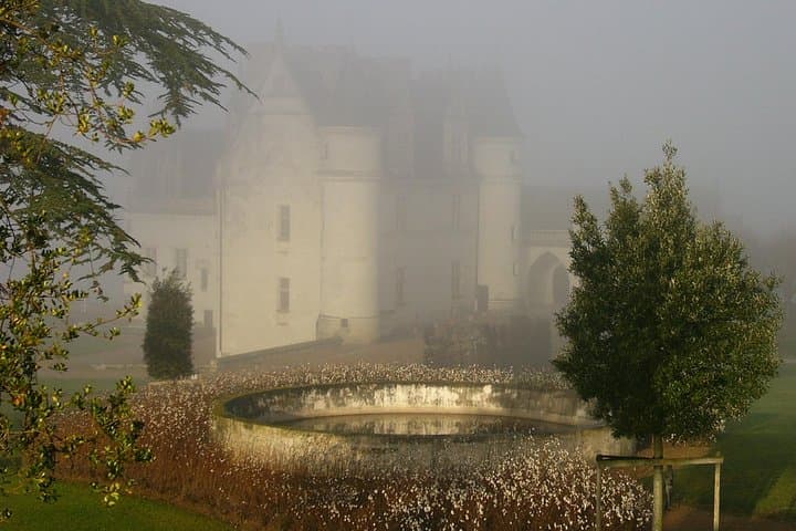 Day Trip to Loire Valley Castles: Chenonceau, Amboise & Clos Lucé photo 3