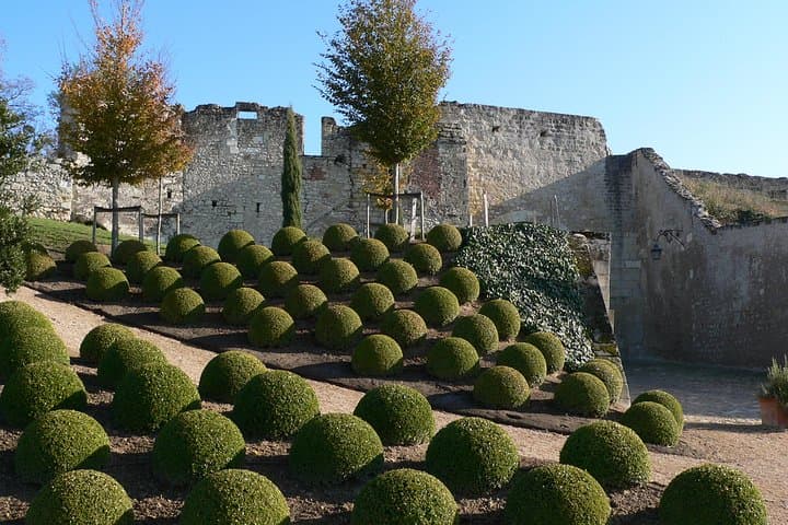 Day Trip to Loire Valley Castles: Chenonceau, Amboise & Clos Lucé photo 4