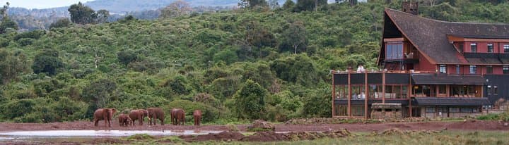 Exploring Aberdare National Park: A 4-Day Safari Adventure from Nairobi photo 4