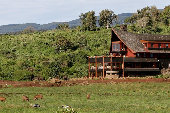 Exploring Aberdare National Park: A 4-Day Safari Adventure from Nairobi photo 5