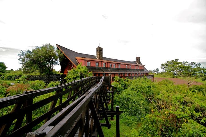 Exploring Aberdare National Park: A 4-Day Safari Adventure from Nairobi photo 6