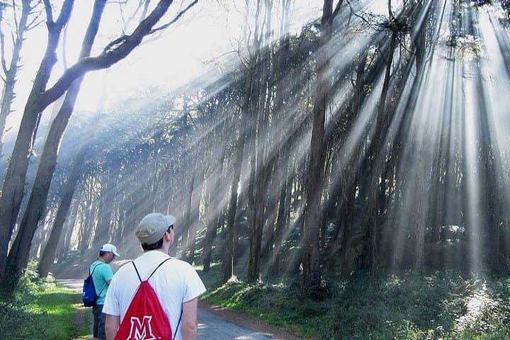 Private Guided Hike in Sintra-Cascais Natural Park From Lisbon