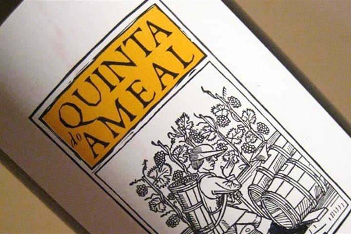 Ameal Wine Experience: Vinho Verde Winery Tour & Lunch from Porto