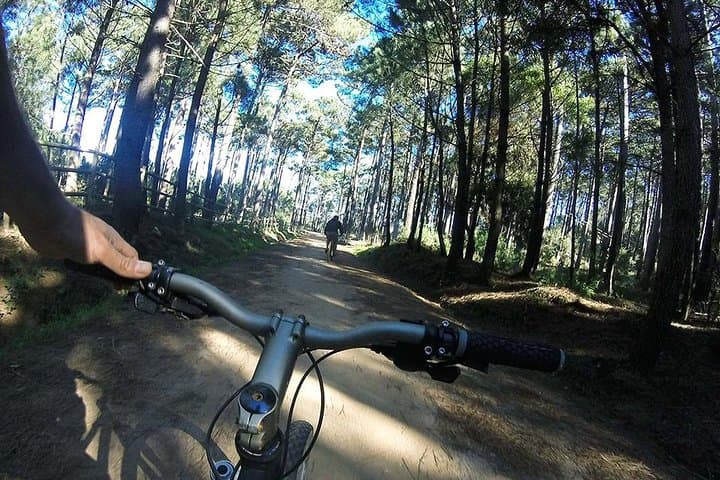 Sintra-Cascais Mountain Biking: Private 2-Hour Trails from Cascais photo 3