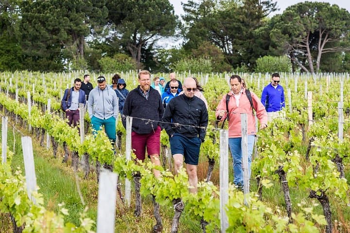 Bike Tour by Saby: Saint-Émilion Wine & Vineyard Cycling Experience photo 2