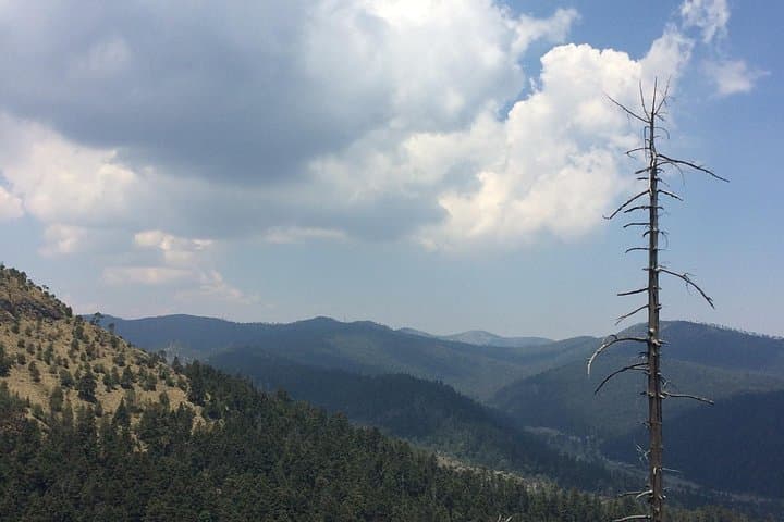 Alpinism to Pico del Águila: Ajusco Day Ascent from Mexico City