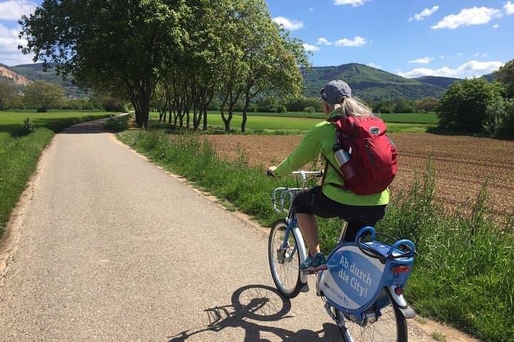 Heidelberg to Ladenburg Bicycle Tour — Roman Ruins, Carl Benz & Country Lanes photo 3