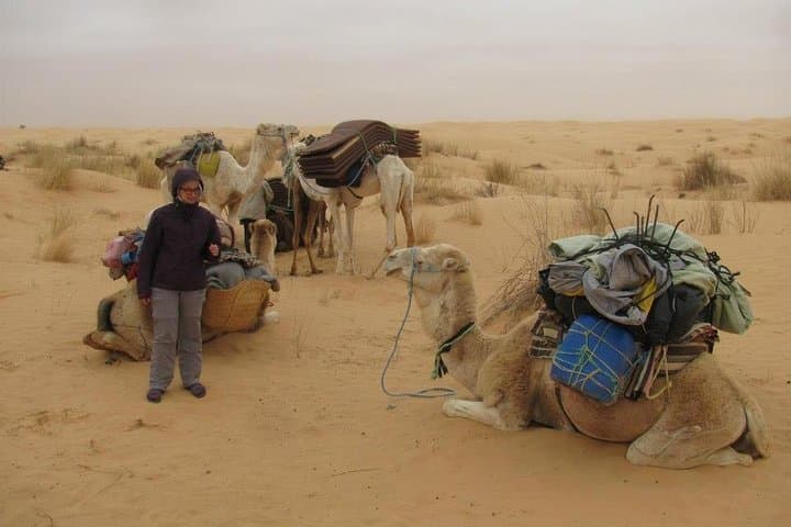 Camel Ride & Overnight at Chott Djerid: Desert Camp from Tozeur