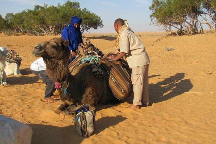 Camel Ride & Overnight at Chott Djerid: Desert Camp from Tozeur photo 2