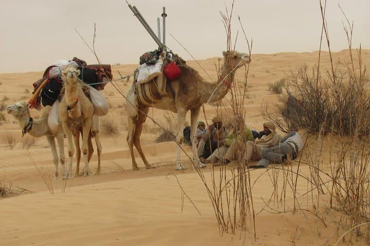Camel Ride & Overnight at Chott Djerid: Desert Camp from Tozeur photo 3