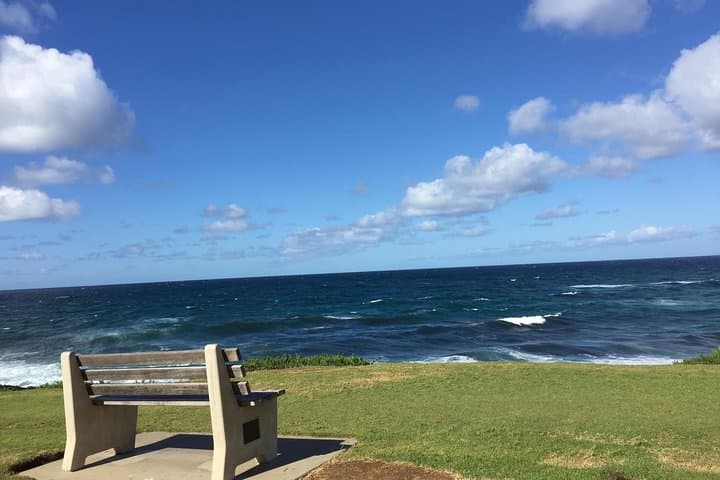 Exploring La Jolla: Coastal Vistas, Seal Colonies, and Cultural Landmarks on a 3-Hour Tour photo 4