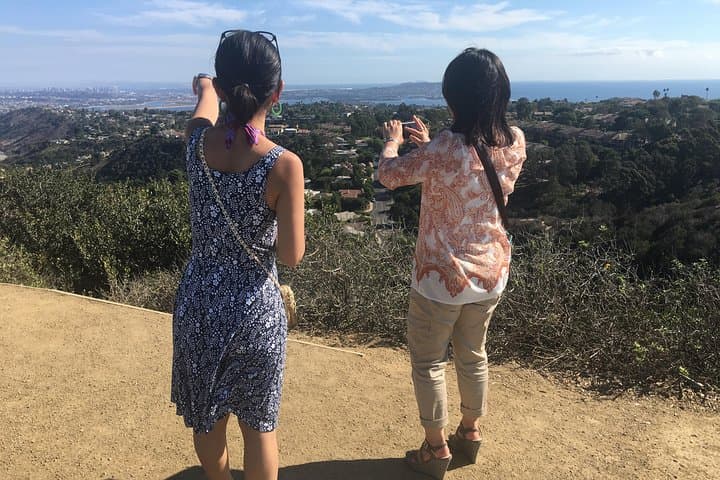 Exploring La Jolla: Coastal Vistas, Seal Colonies, and Cultural Landmarks on a 3-Hour Tour photo 5