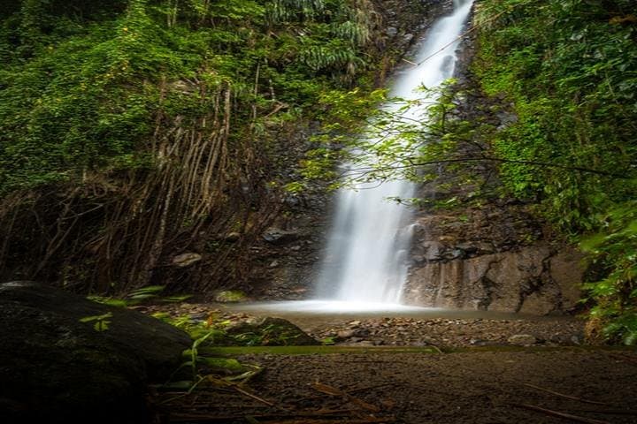 Dark View Falls Tour: Fort Charlotte, Rainforest Hike & Buccament Bay Soak photo 3