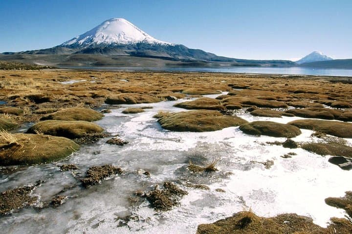 Lauca National Park & Lake Chungará: Full-Day Andean Wildlife, Geology and Archaeology from Arica photo 3