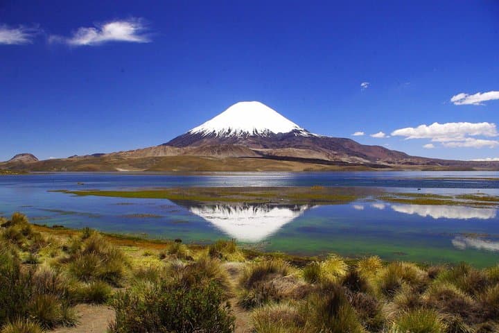 Lauca National Park & Lake Chungará: Full-Day Andean Wildlife, Geology and Archaeology from Arica photo 4