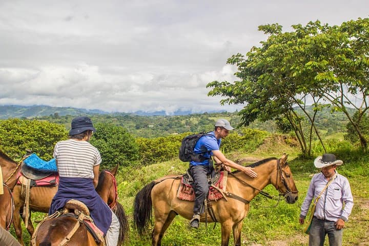 3-Day San Agustín Archaeological Park Adventure from Bogotá: Ruins, Waterfalls & Coffee Trails photo 5