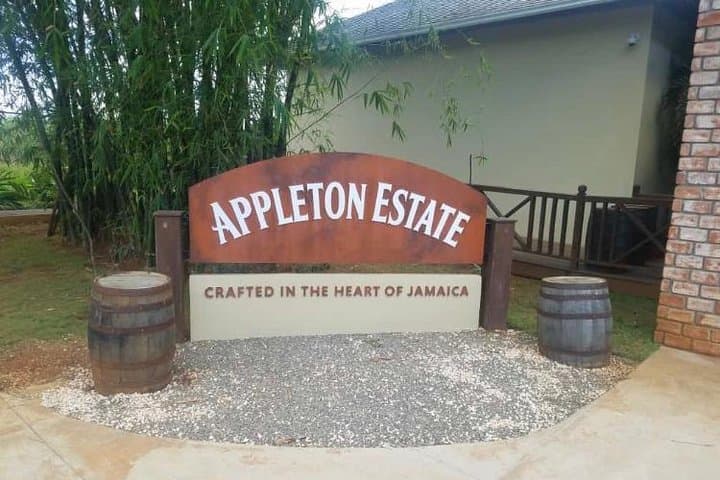 YS Falls & Appleton Estate Private Rum Tour — Day Trip from Montego Bay photo 3