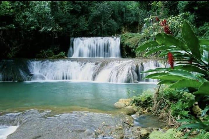 YS Falls & Appleton Estate Private Rum Tour — Day Trip from Montego Bay photo 6