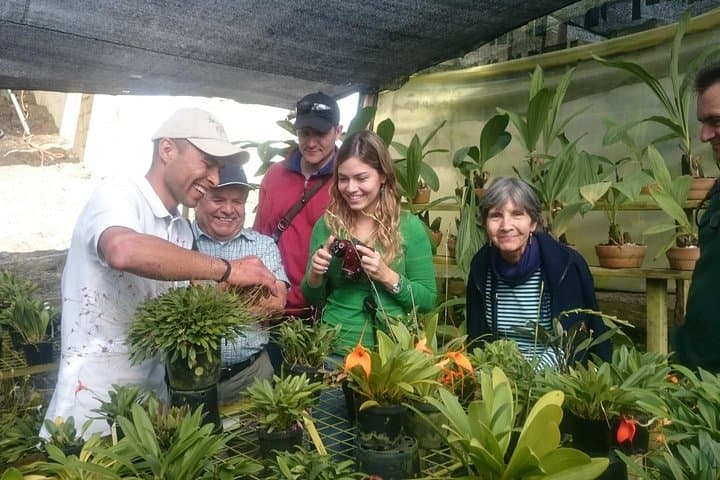 Between Orchids and Hydrangeas – Medellín Flower Farm & South America's Largest Orchid Collection photo 5